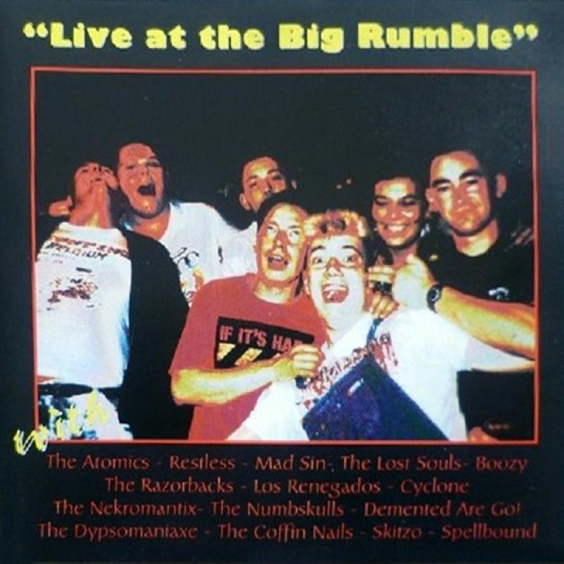 Sampler - Live at the Big Rumble